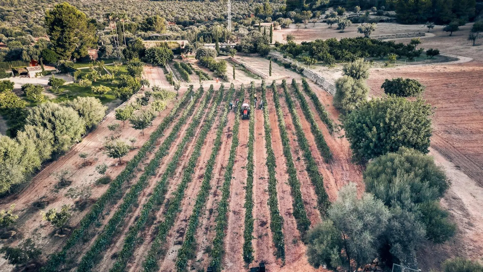 Finca Es Cabas Santa Maria del Cami  Santa Maria del Cami (Mallorca)