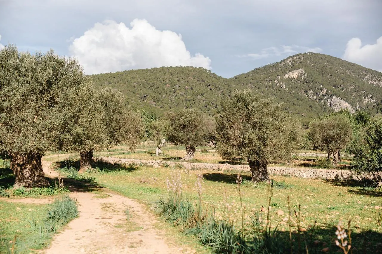 Finca Es Cabas Santa Maria del Cami